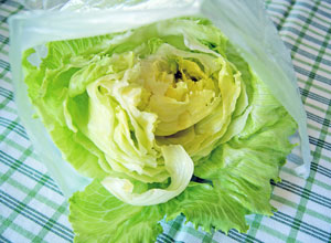 storing salad greens